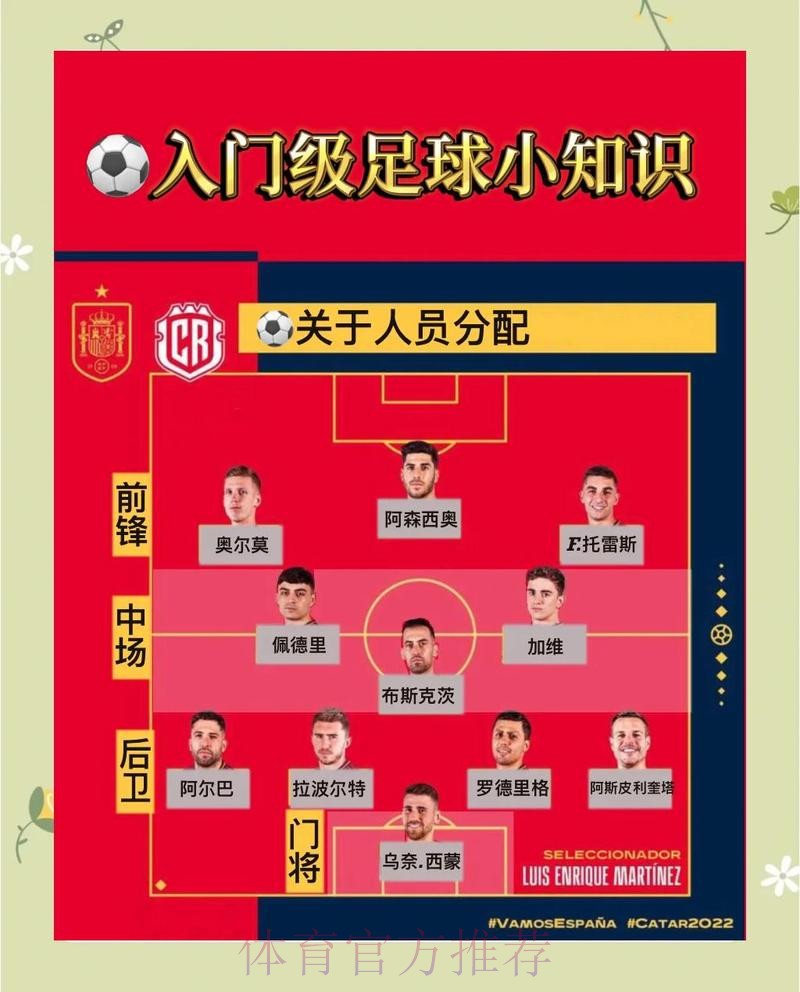 世界杯比分教程官方